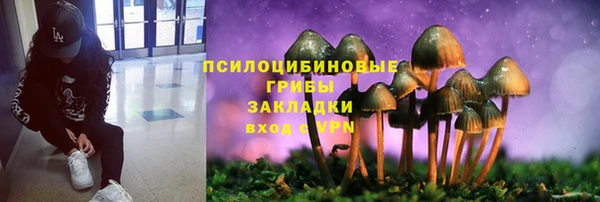 МДПВ Аркадак