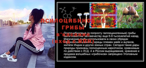 скорость Арсеньев