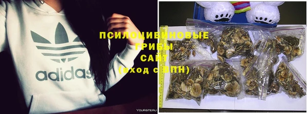 скорость Арсеньев