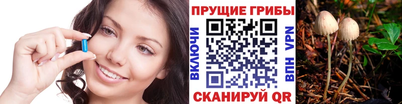 Псилоцибиновые грибы ЛСД  Артёмовск 